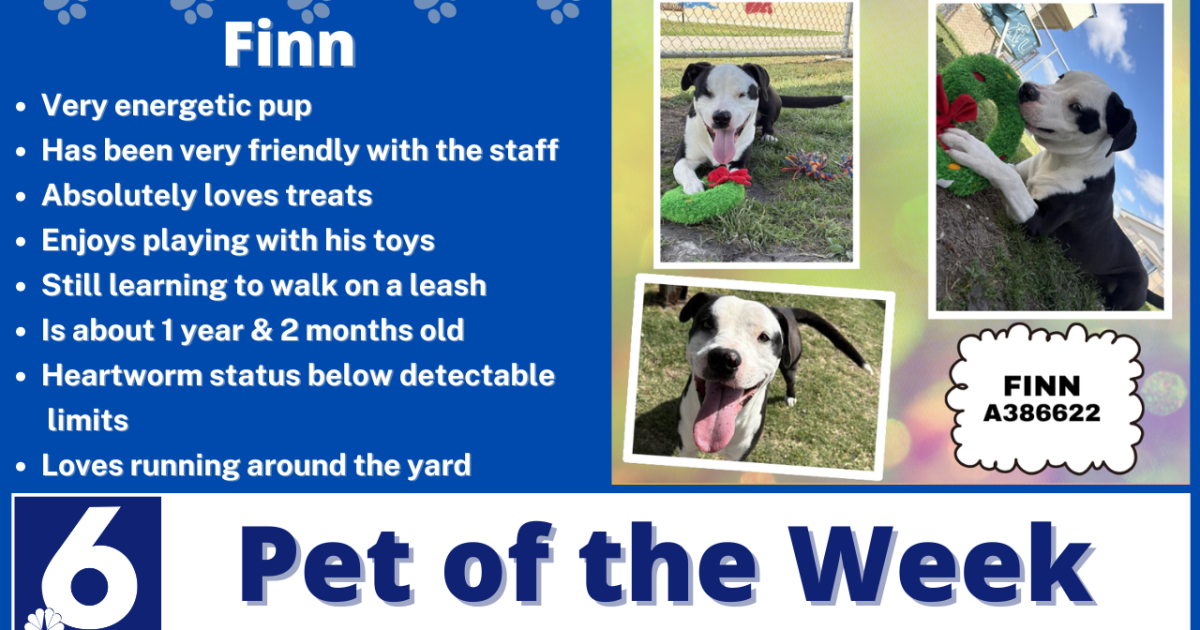 Pet of the Week: Finn
