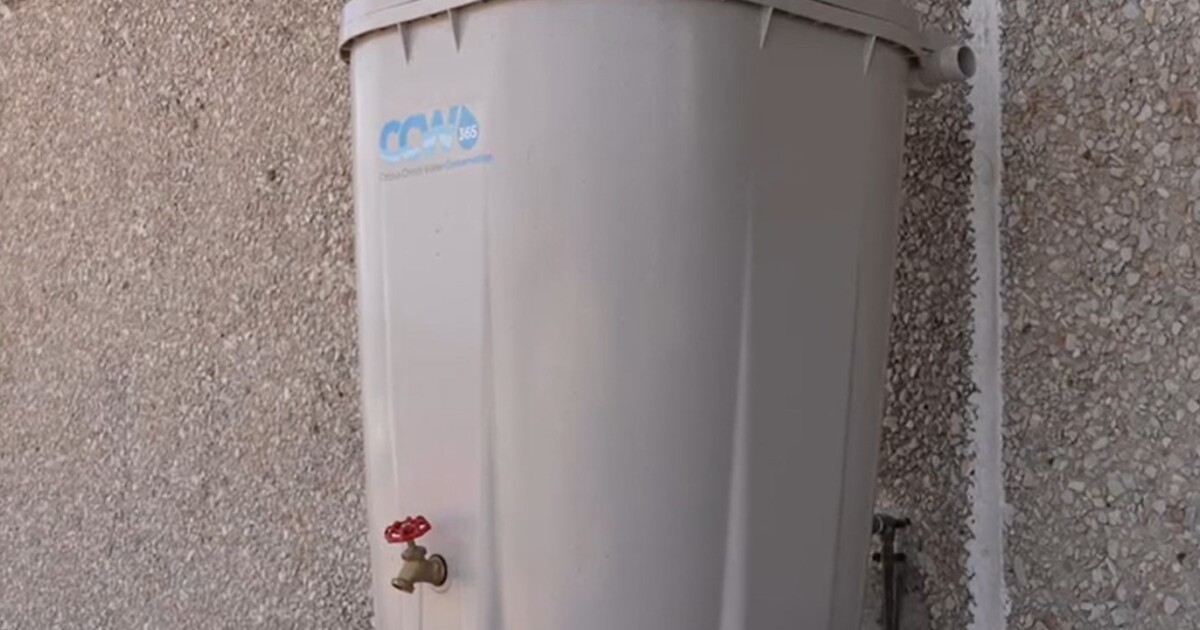NEED A RAIN BARREL? KRIS 6 has a look at how easy it is to buy one
