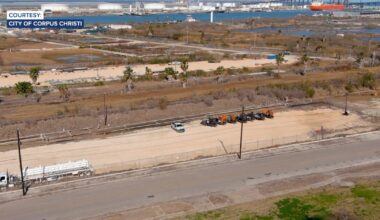Desal vote in doubt after key environmental firm loses project leader