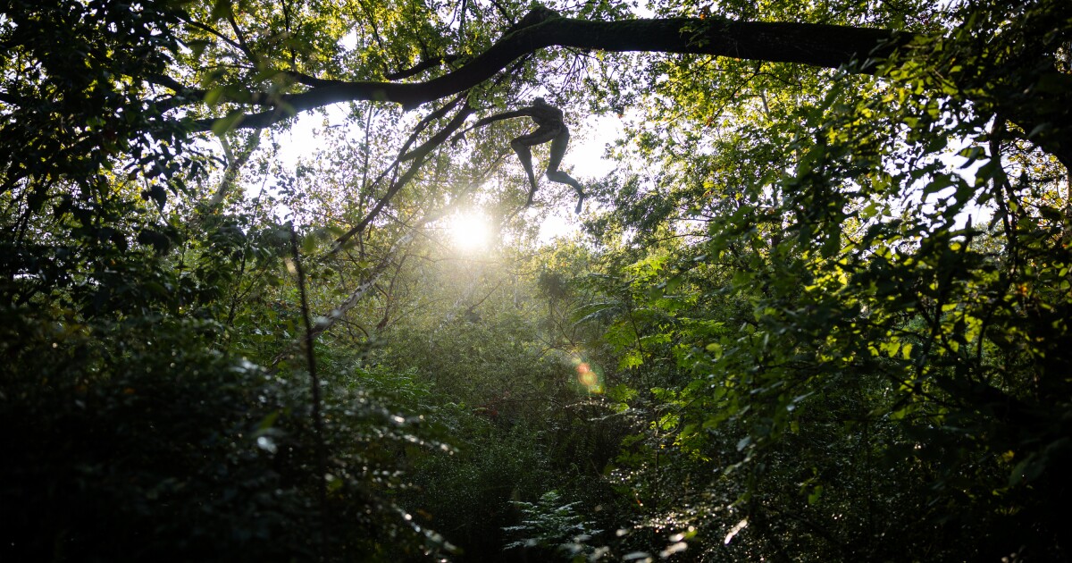 What's up with that sculpture in the Barton Creek Greenbelt?