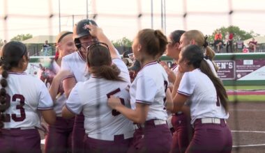 Calallen softball wins District Championship, Wildcats baseball shuts out T-M
