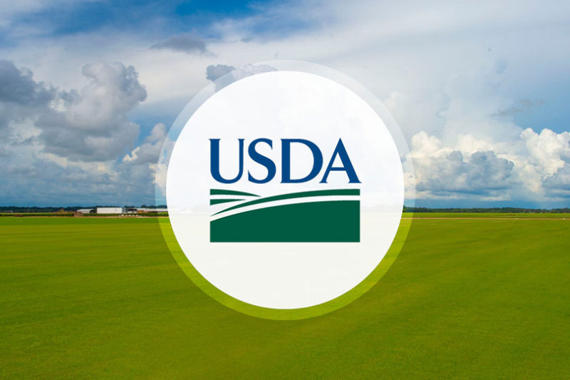USDA appoints members to Texas Farm Service Agency state committee The USDA Farm Service Agency announced the appointment of five leaders in agriculture to serve on the Texas USDA Farm Service Agency state committee.