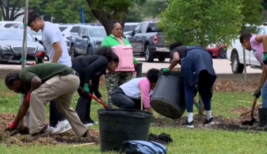2026 World Cup Prep Includes Planting 50 Trees at Churchill Park – NBC 5 Dallas-Fort Worth
