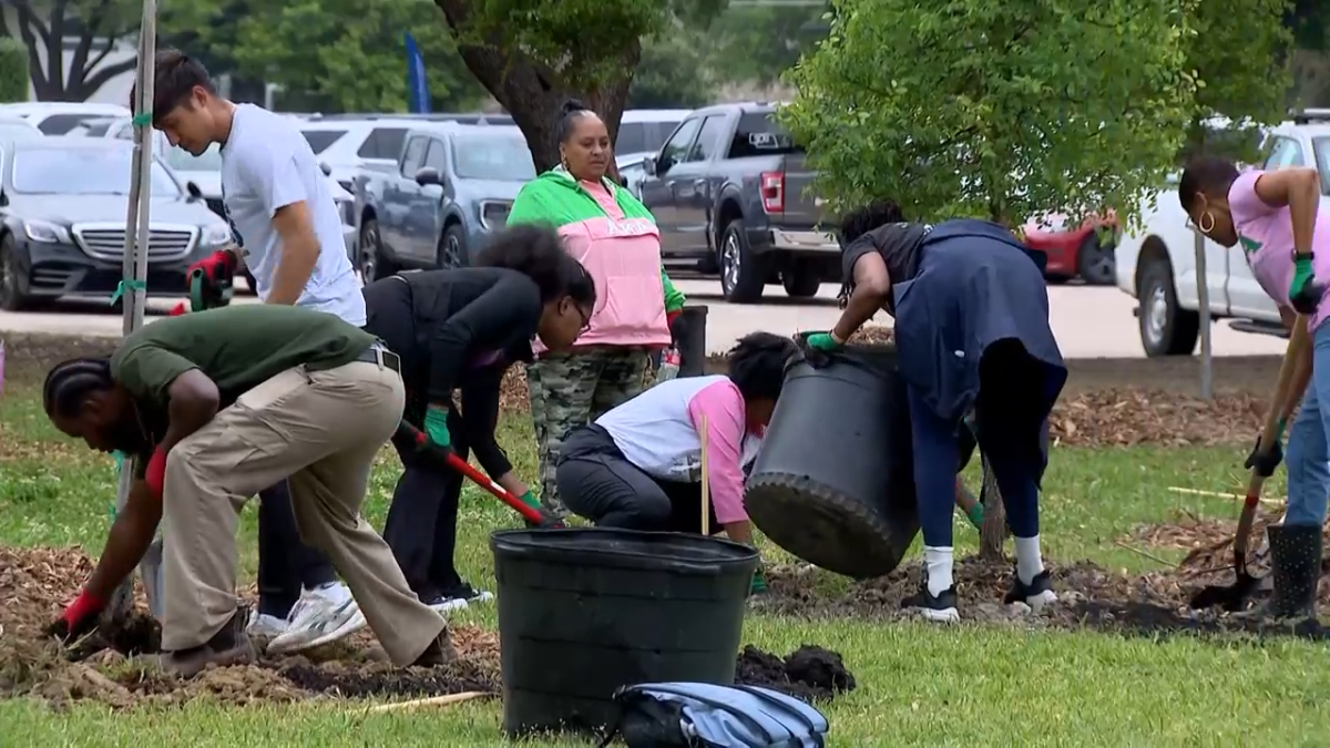 2026 World Cup Prep Includes Planting 50 Trees at Churchill Park – NBC 5 Dallas-Fort Worth
