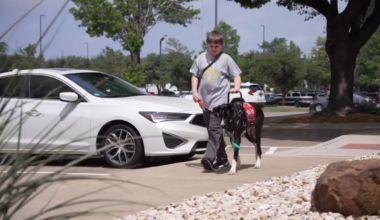 Plano fundraiser helps a 5th grader bring home service dog Oreo – NBC 5 Dallas-Fort Worth