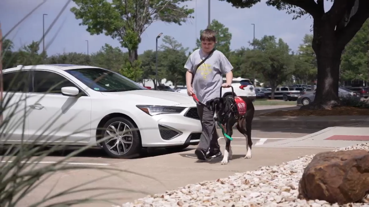 Plano fundraiser helps a 5th grader bring home service dog Oreo – NBC 5 Dallas-Fort Worth