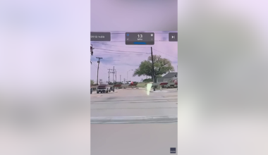 Texas Tesla driver narrowly avoids disaster when autopilot engages at railroad crossing