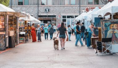 Allen Arts Festival Returns With Over 100 Artists This May - Local Profile