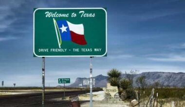Texas remains top spot for movers despite migration slowdown