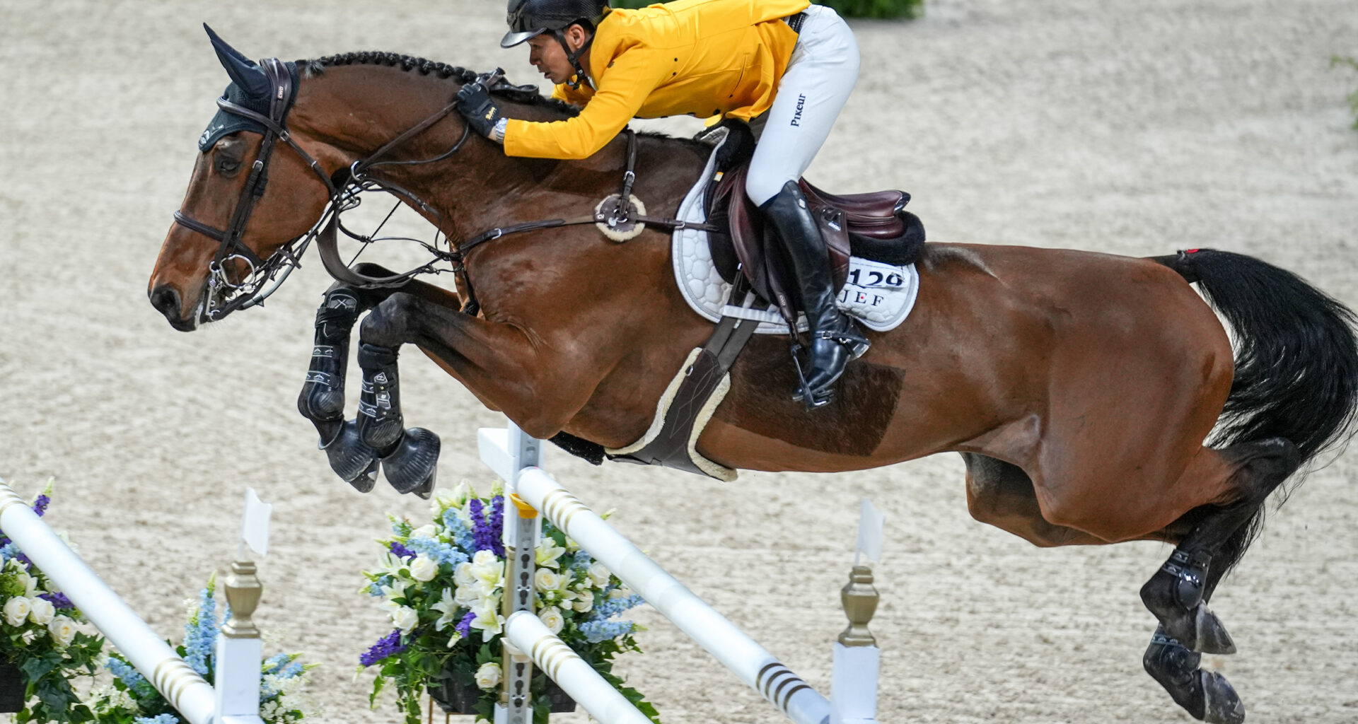 Which Bloodlines Are Winning in Fort Worth? A Breeding Analysis of the World Cup Final Field