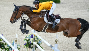 Which Bloodlines Are Winning in Fort Worth? A Breeding Analysis of the World Cup Final Field