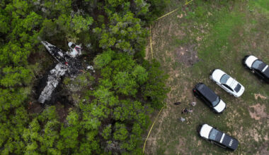 5 Victims of Texas Plane Crash Were Traveling to Pickleball Tournament