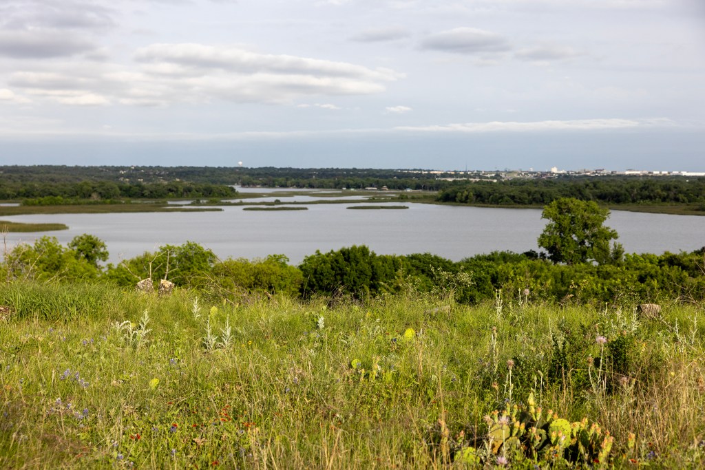 (Maria Crane | Fort Worth Report/CatchLight Local/Report for America)