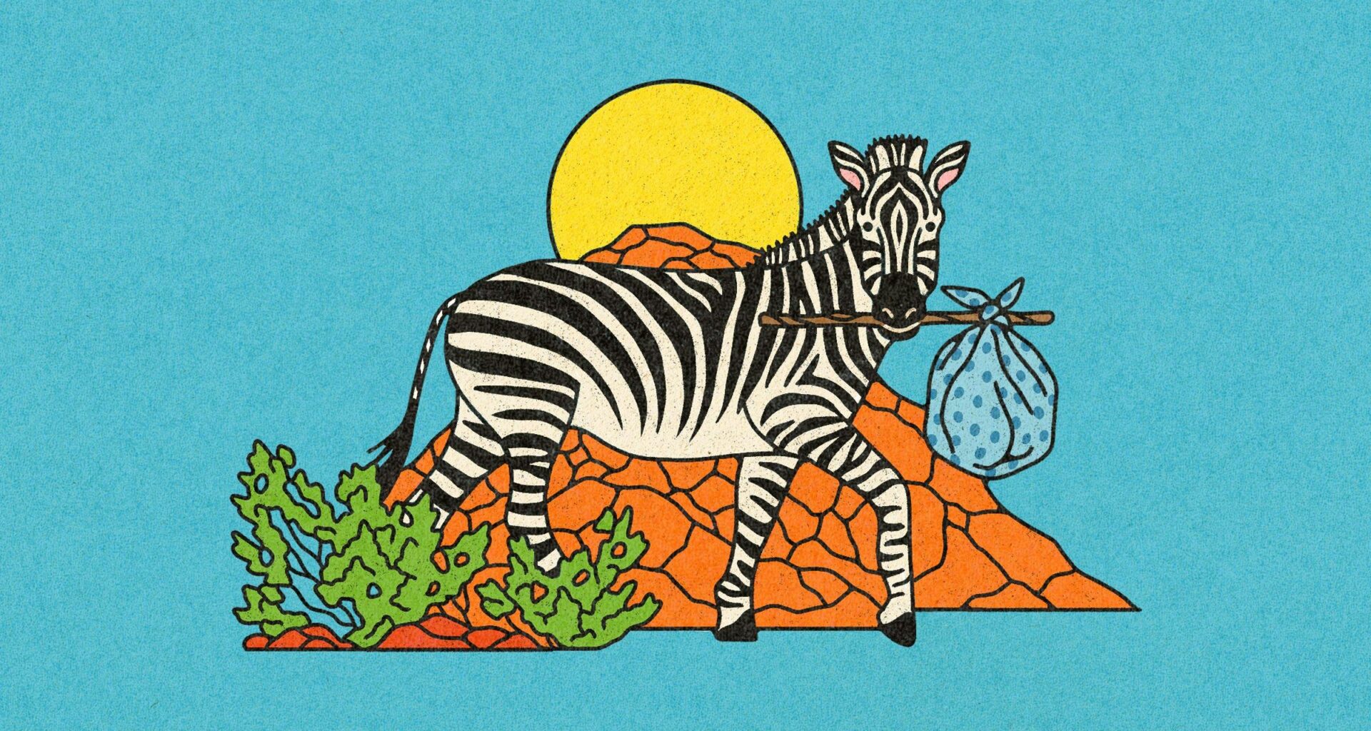 Meanwhile, in Texas: A Lone Zebra Takes the High Road in West Texas