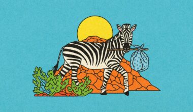 Meanwhile, in Texas: A Lone Zebra Takes the High Road in West Texas