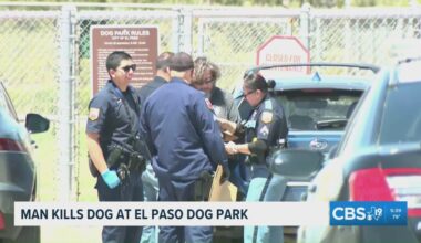 Dog park dispute turns deadly after man shoots pit bull in El Paso