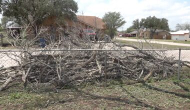 Severe Overnight Storms Leave Damage, Cleanup Efforts Underway in Freer