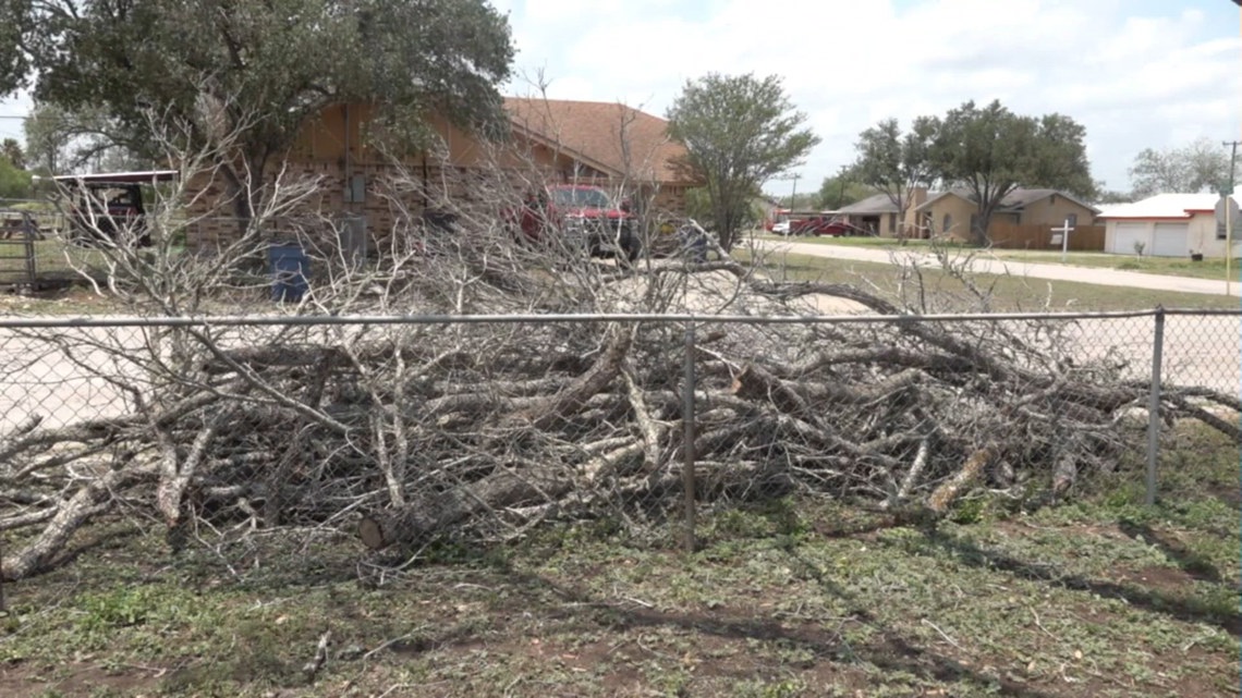 Severe Overnight Storms Leave Damage, Cleanup Efforts Underway in Freer