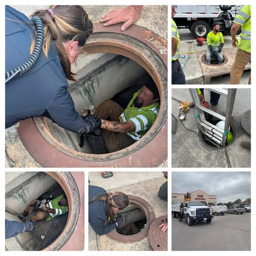 Stormy the crying kitten rescued from Texas storm drain