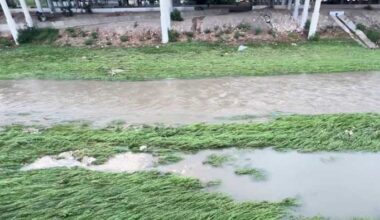 Witness recalls seeing body in San Pedro Creek