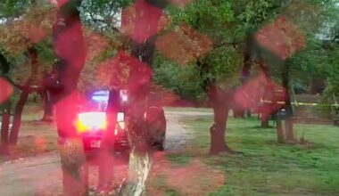 Five dead after Cessna 421C crashes near Wimberley, Texas