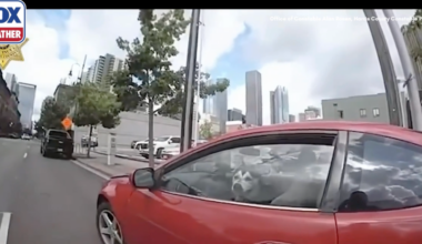 Video: Husky rescued from 113-degree car after 2 hours in the scorching heat