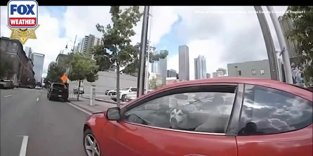Video: Husky rescued from 113-degree car after 2 hours in the scorching heat