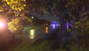 Driver dies after single-vehicle crash in Southeast Houston