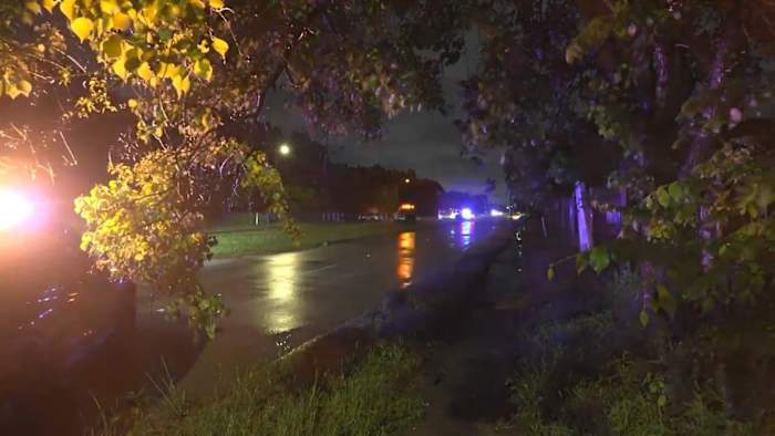 Driver dies after single-vehicle crash in Southeast Houston