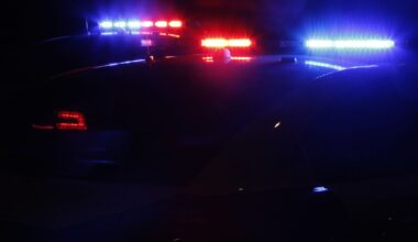 Investigators determined a gray Toyota pickup was traveling northbound on Alma Drive when it struck a pedestrian while he was crossing near Seabrook Drive.