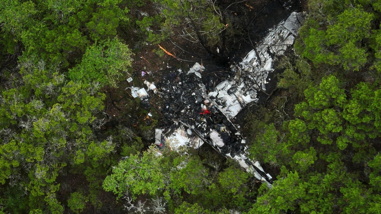 Pickleball players killed in Texas plane crash included a school tennis star, trauma counselor