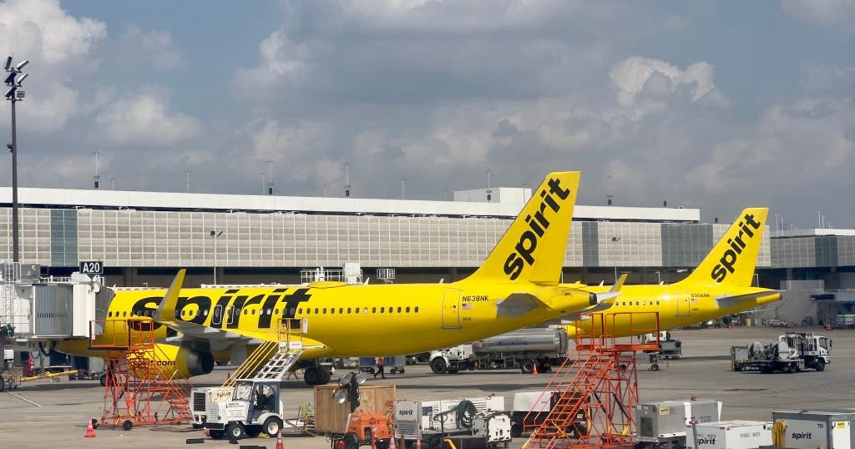 Spirit Airlines flight attendant talks about future after airline shuts down