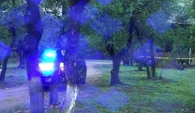 Pickleball players killed in Texas plane crash included a school tennis star, trauma counselor