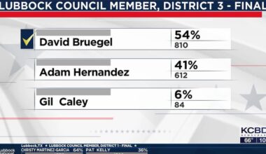 Bruegel wins District 3 council seat