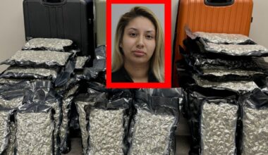 Woman arrested at Dallas Love Field after 75 pounds of marijuana spills from broken suitcase