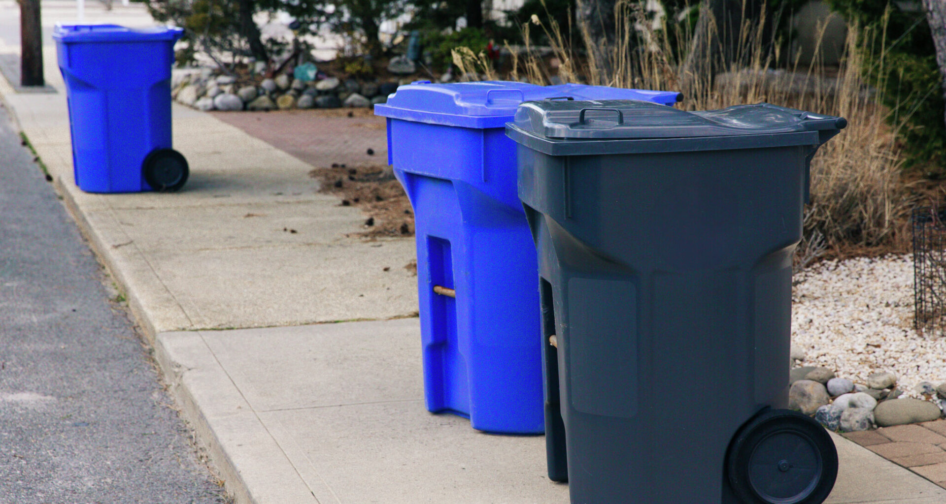 Are you allowed to leave your trash cans out in Texas?