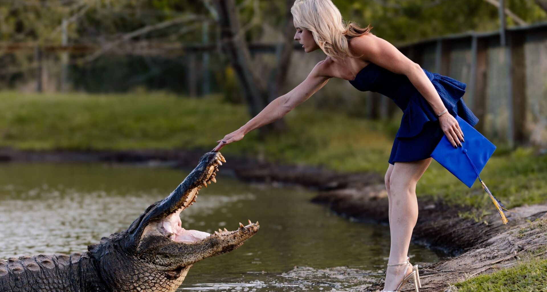 Gator Country staffer's grad photos show kiss with giant alligator
