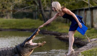 Gator Country staffer's grad photos show kiss with giant alligator