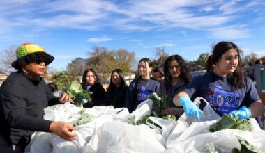 Plan to bolster Dallas area’s food system briefed at City Hall