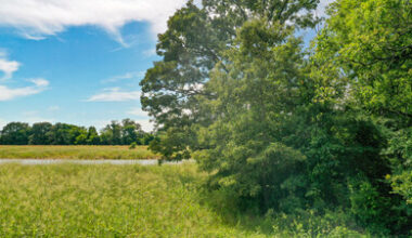 The Ranches at Saline Creek Introduces 5-20+ Acres - One Hour from Dallas