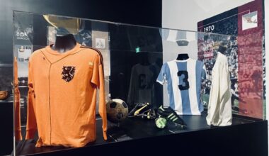 Soccer: The Passion for the World Cup Opens at Arlington Museum of Art