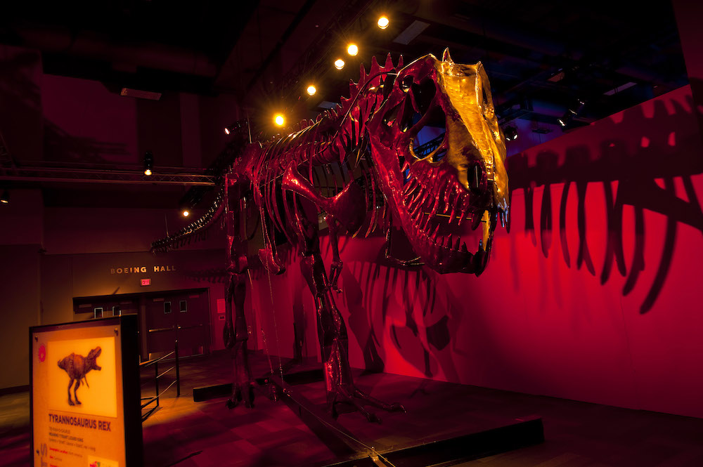 Interactive dinosaur sculptures thundering into San Antonio's The Doseum