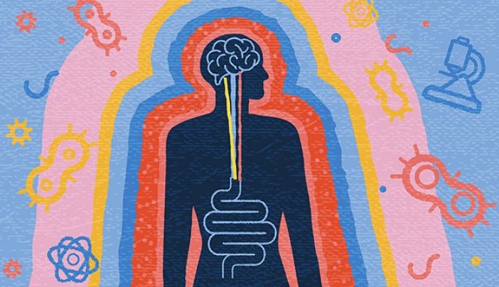 Understanding the gut-brain axis: 7 things to know