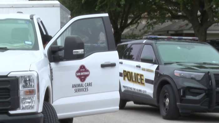 Neighbors say dog that bit 80-year-old woman’s face has attacked before
