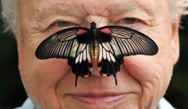 David Attenborough, the excited but hushed voice of nature programs, turns 100