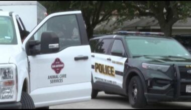 ACS pursuing criminal charges against owner of dog who attacked 80-year-old woman, child