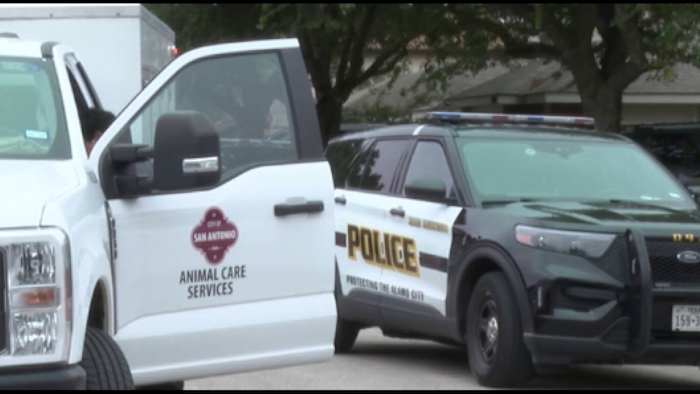 ACS pursuing criminal charges against owner of dog who attacked 80-year-old woman, child