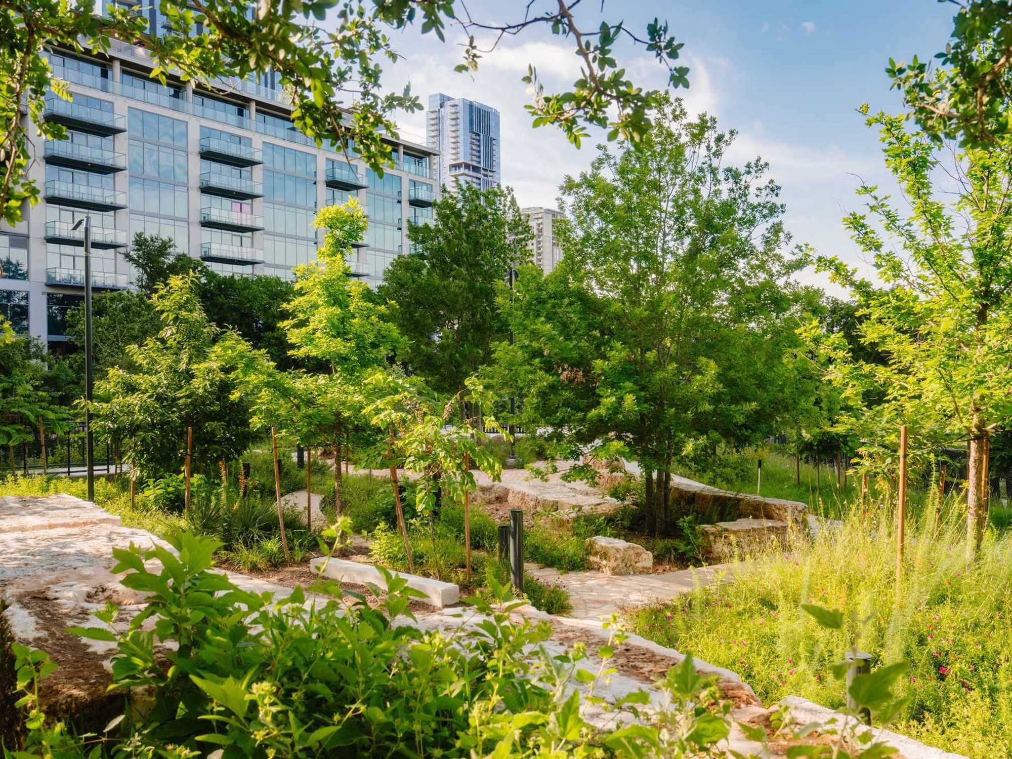 The Confluence Austin