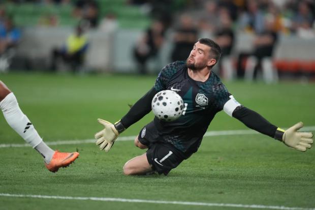 goalkeeper Mathew Ryan makes a save 
