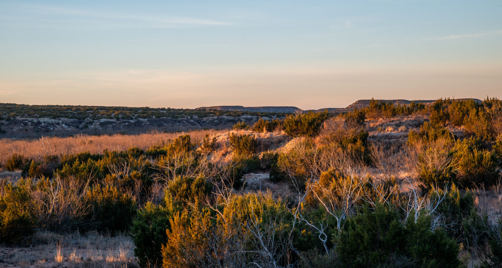 10,000-acre hunter's paradise hits the market in the Panhandle